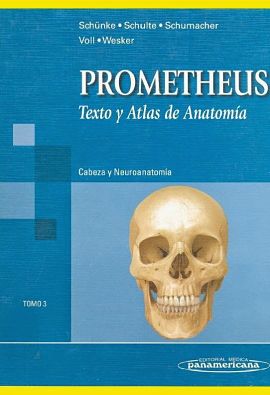 Pdf atlas de anatomia