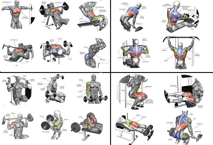 best workout routines for