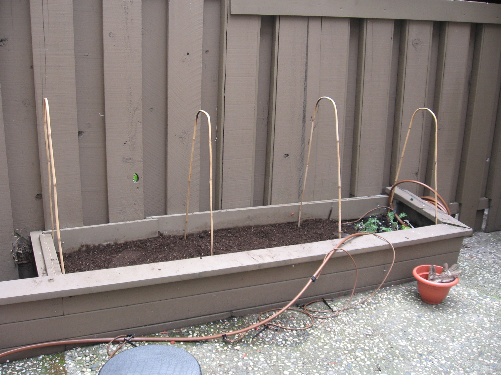 thumb tacks, thumb tech Keeping birds away from vegetables garden Part 1