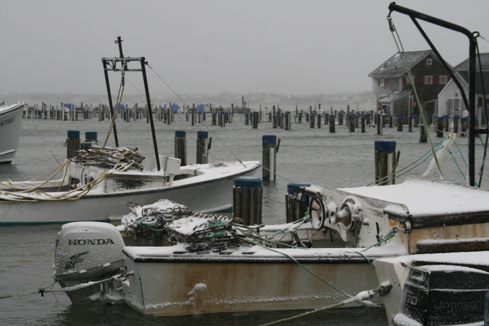 High Tide In Norwalk Ct