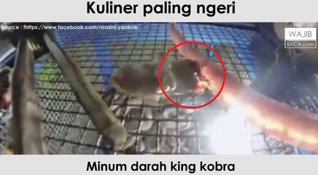 Kuliner Anti-Mainstream, Berani Coba Makanan Satu Ini? Dijamin Bergidik Ngeri!
