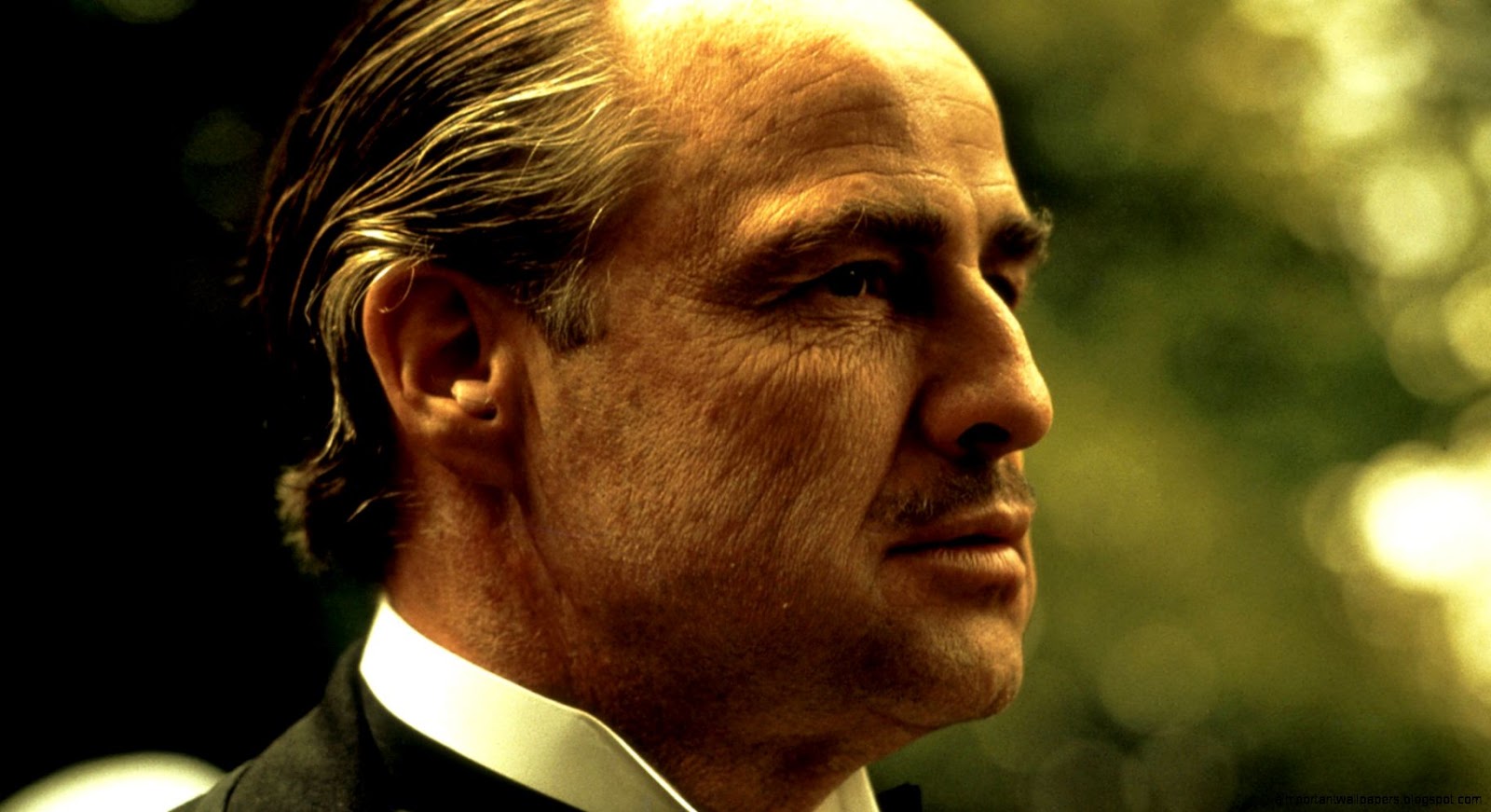 Marlon Brando Godfather