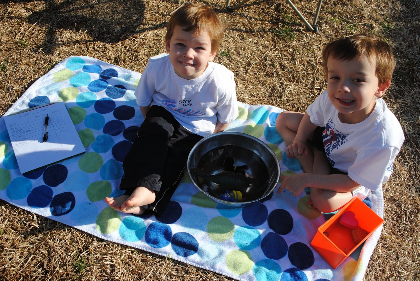 Keeping up with the Kuhlmans Learning games Sink or Float plus