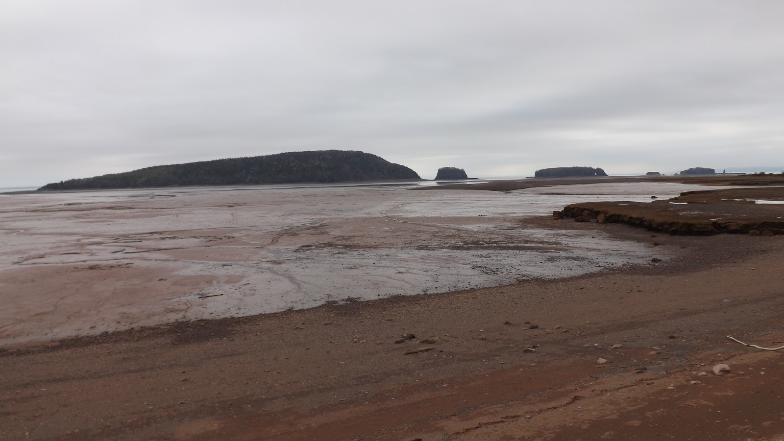 Roadside Chronicles Life On The Road DAY 4 Nova Scotia Joggins & 5