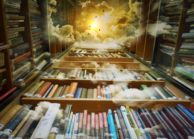 Imagen de una biblioteca en perpectiva con un techo de cielo.