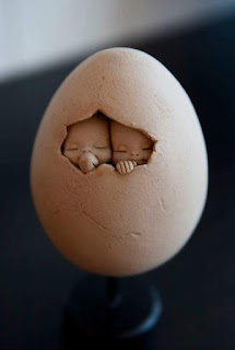 baby-inside-egg