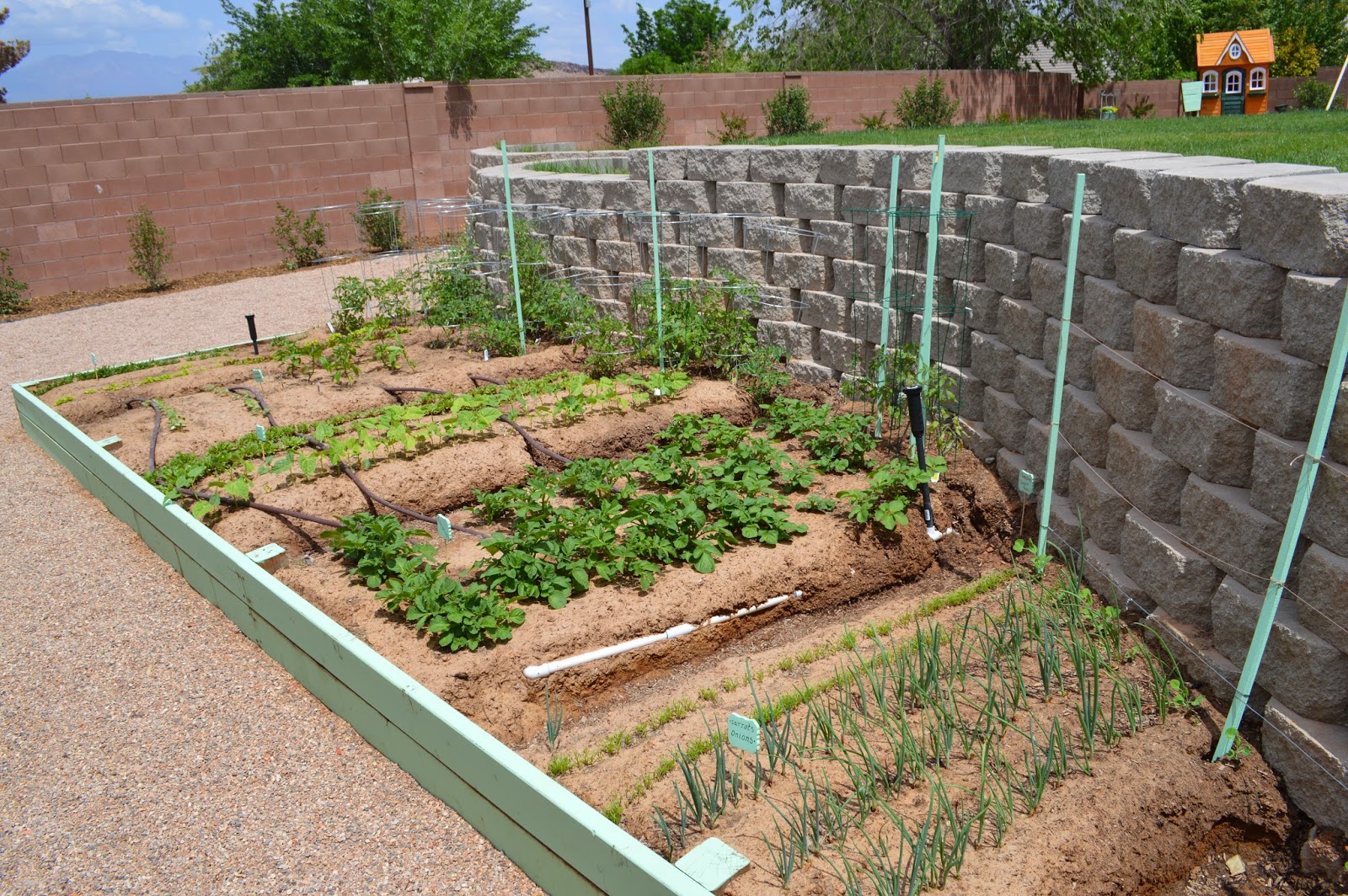 Garden Bed Basics