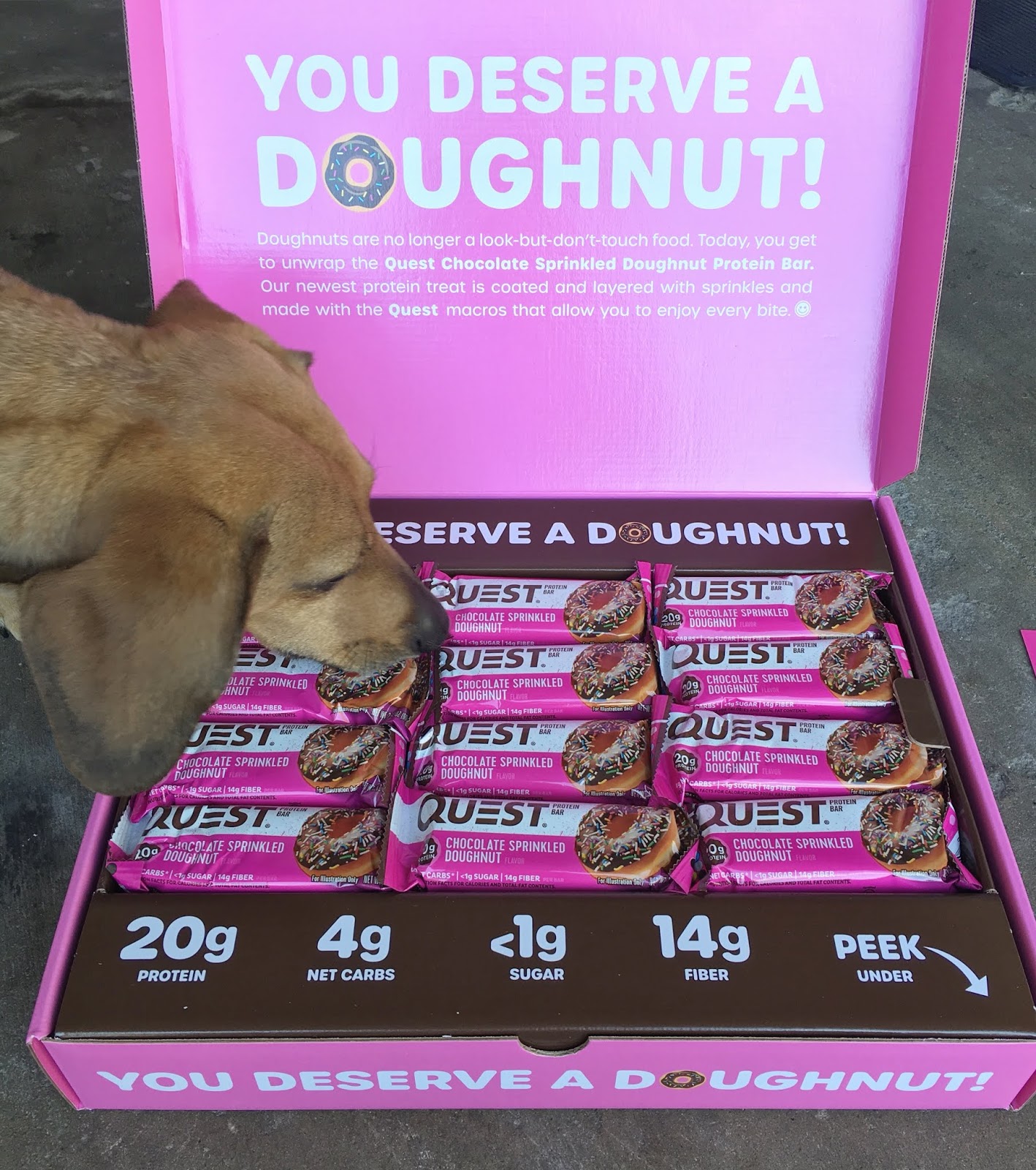 Carlee McDot REVIEW Quest Chocolate Sprinkled Doughnut Protein Bar