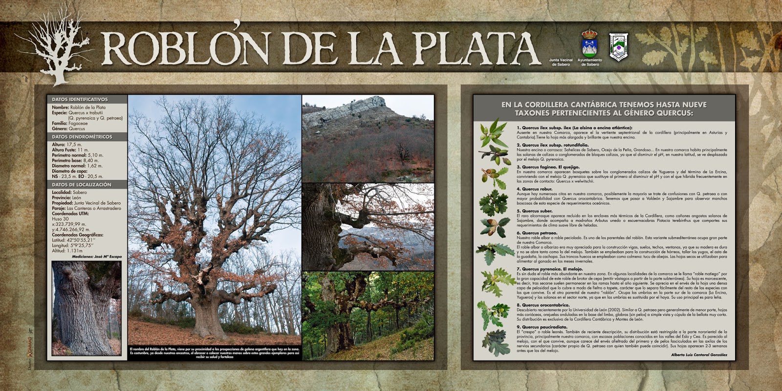 El Valle de Sabero: El Roblón de 