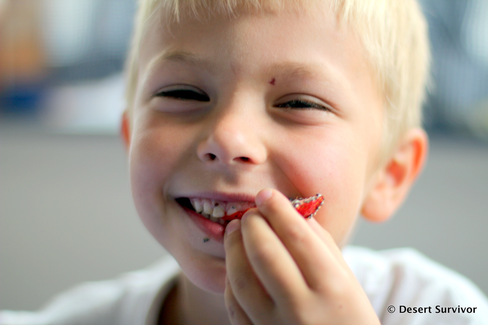 Desert Survivor New Food Chia Seeds