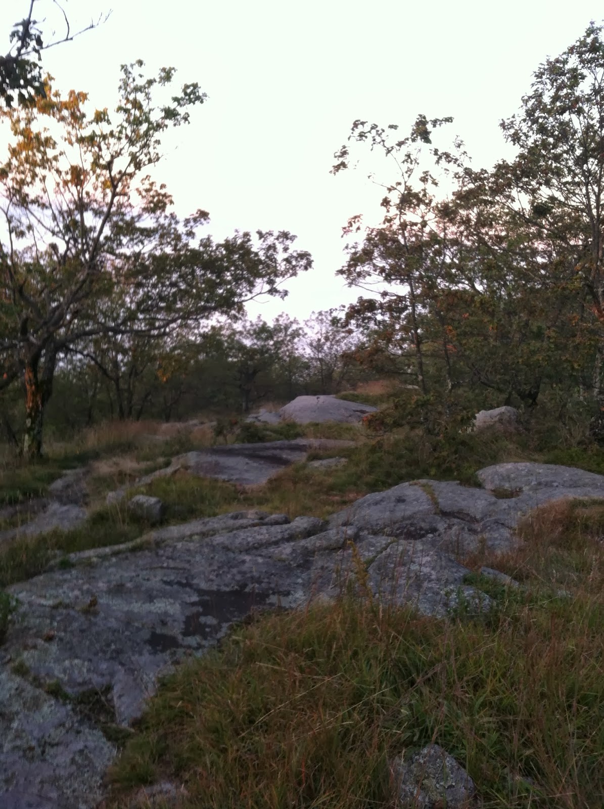 Early Morning Trails Training - IMG 0835.JPG