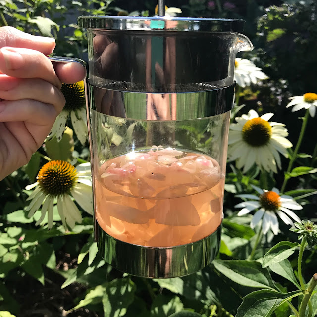 Easy DIY Rose Water with your own roses and a french press