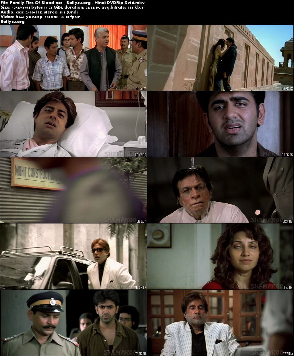 Family Ties Of Blood 2006 DVDRip Full Movie Hindi Download