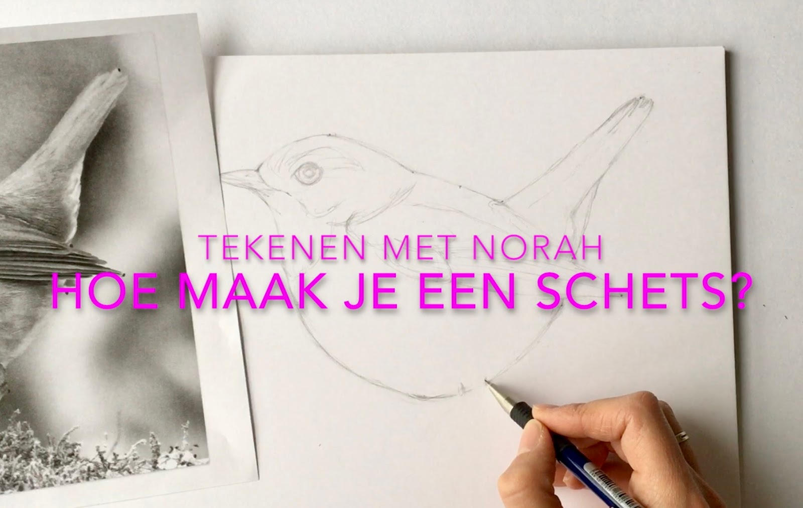 De Ligny Creations: Hoe maak je een schets?