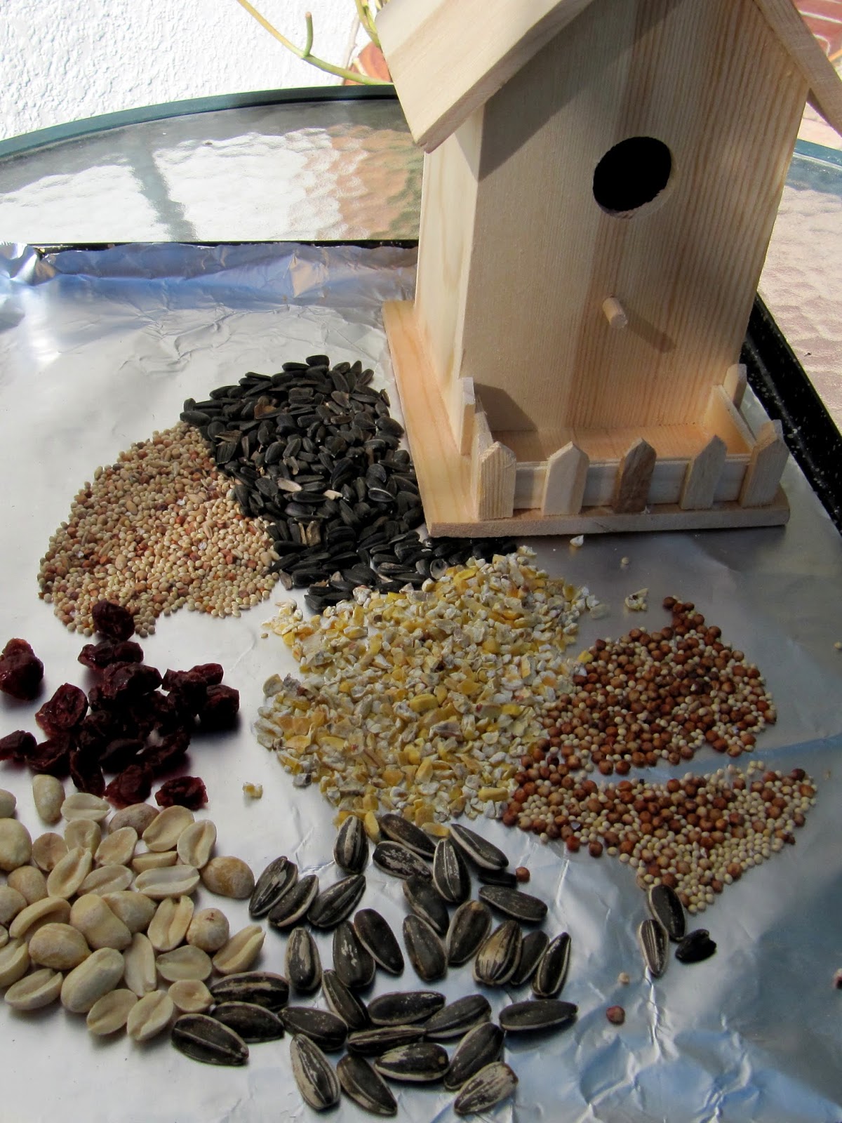 Blogging In Myrtle Glen Edible Bird House