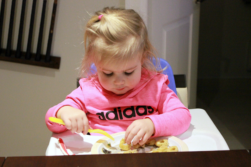 The 9 Stages of Dinner with a Toddler To & Fro