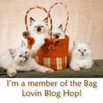 Bag Blog Hop