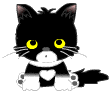 gatos044.gif