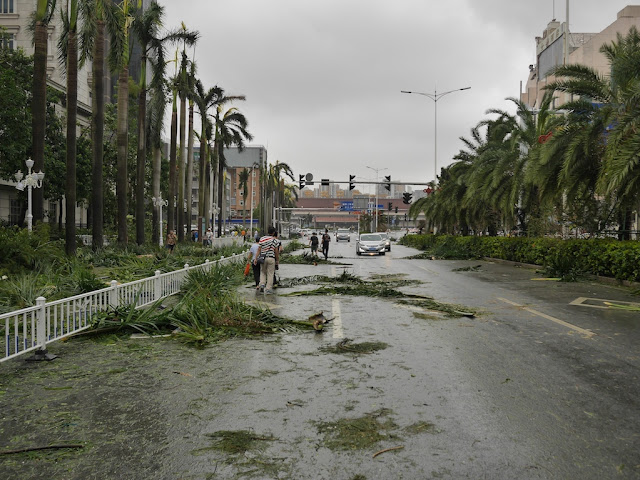 people walking on Yingbin South Road in Zhuhai after Typhoon Hato