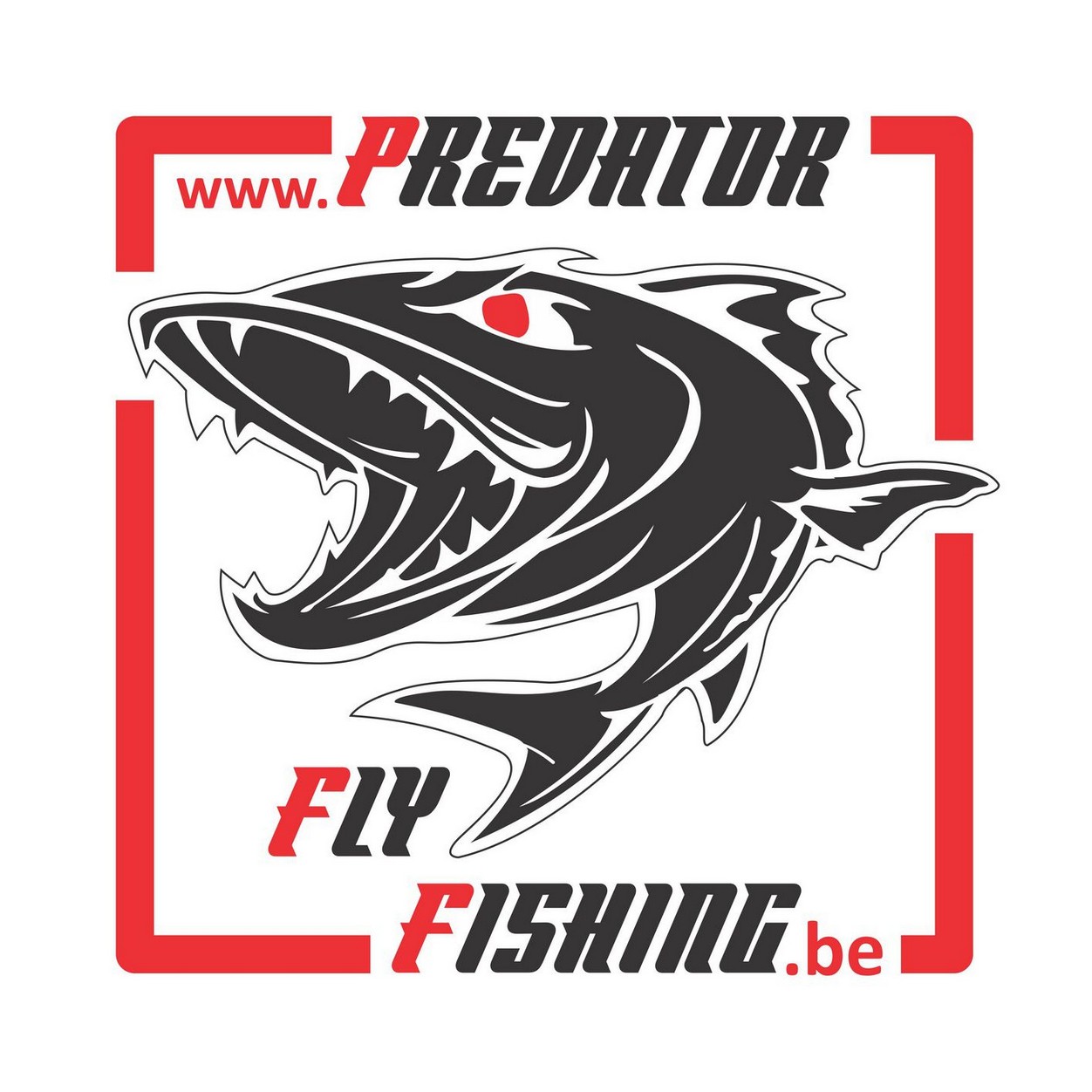 Predator Fly Fishing