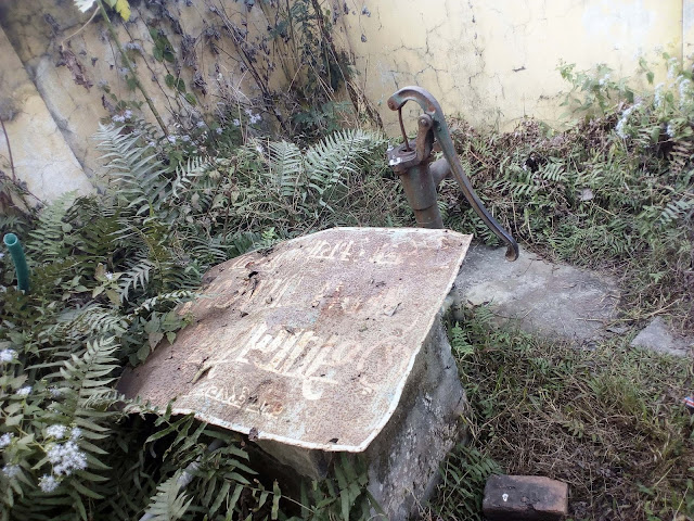 48380864_338373210320148_8501386552633458688_n