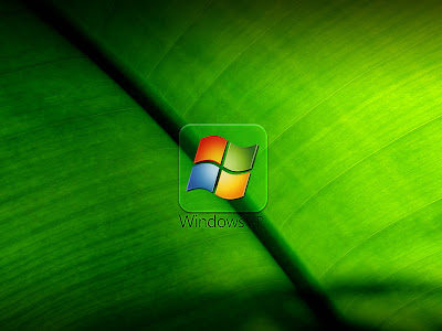 wallpaper: Windows XP Wallpapers