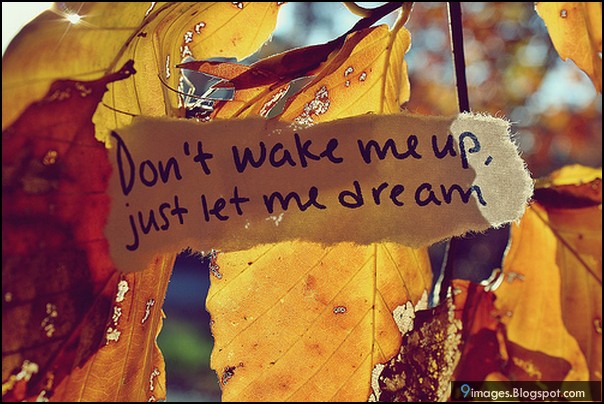 quote-do-not-wake-me-up-just-let-me-dream.jpg
