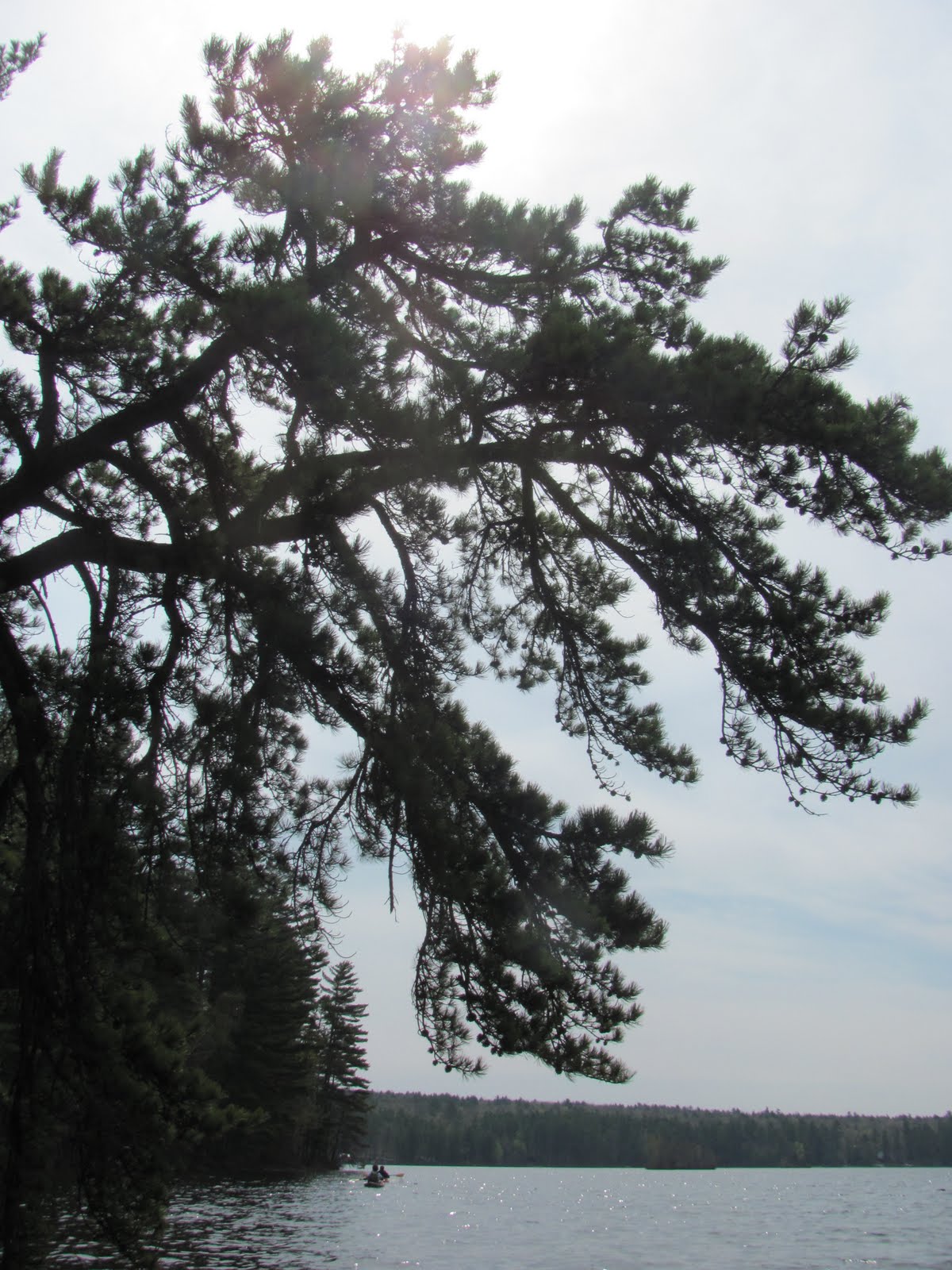 Recreational Kayaking in Maine North Windham, Maine Little Sebago Lake