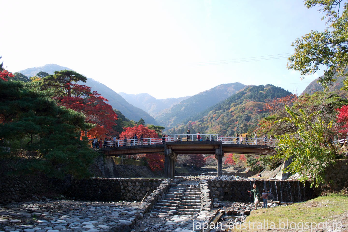 Japan Australia Autumn Leaves at Yoro Park