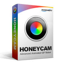 Bandisoft Honeycam Portable