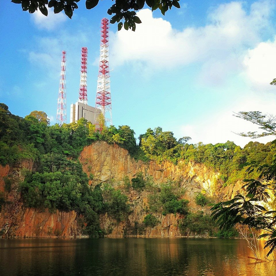 Bukit Timah Nature Reserve: Things To Do in Singapore