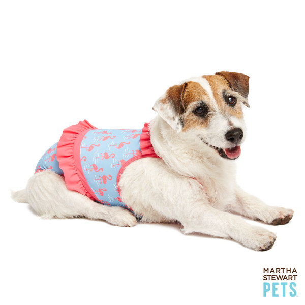 Petsmart Promotional Codes Free Shipping 2016 Spend 100, Save 20 with Persmart coupon code