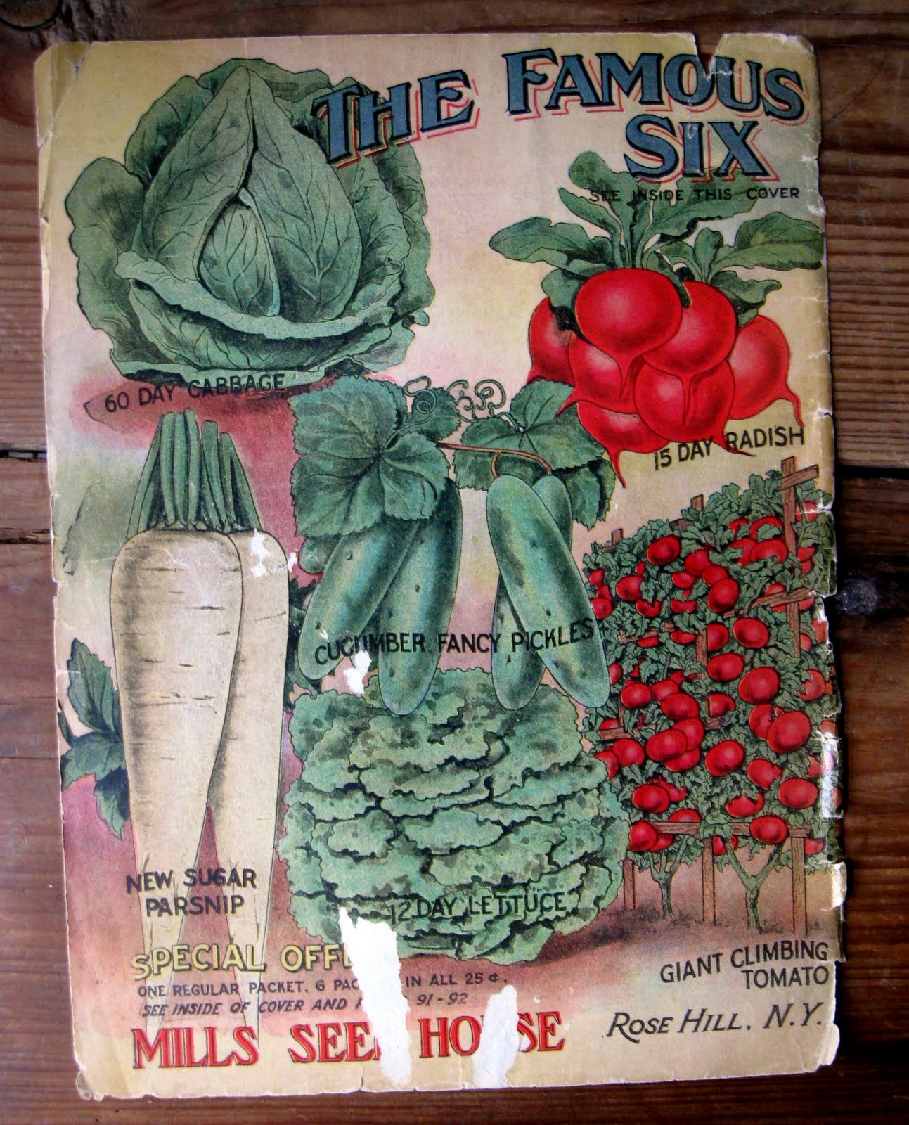 FOLKWAYS NOTEBOOK VINTAGE SEED CATALOGS