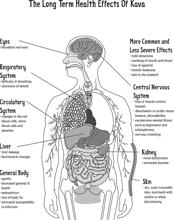 HERBALIFE BLACK COHOSH AND KAVA UPDATE DAMAGE OF LIVERKIDNEYBRAINBLOOD PRESSUREVICTIM