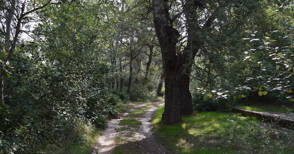 Blog de campo y minerales Paseo por la orilla del río.