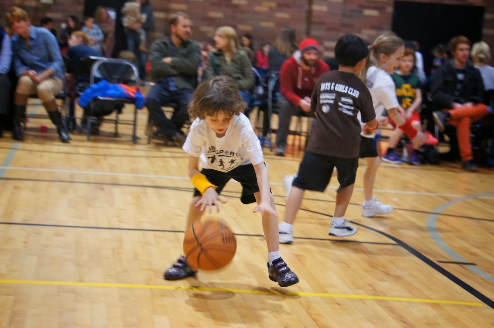 The World Of Woodbury Isaac's Biddy Ball