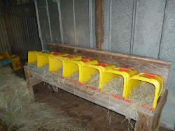 chicken nesting boxes box diy litter kitty buckets using plans coop homesteading containers repurpose project nest survival laying chickens build
