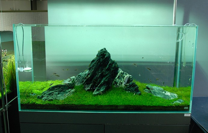 Is Takashi Amano the Greatest of All Time even today?  Page 3  AquaScaping World Forum