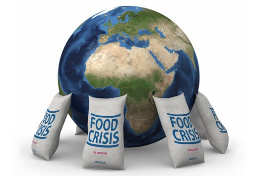 Essay On Food Crisis
