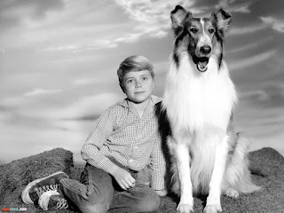 alt="lassie con su amigo niño"