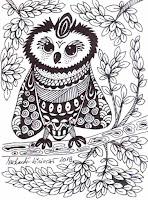 Zentangle Owl