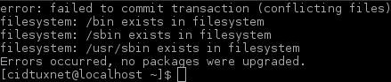 /bin, /sbin, /usr/sbin exists in filesystem when upgrading archlinux (2013/6/3)