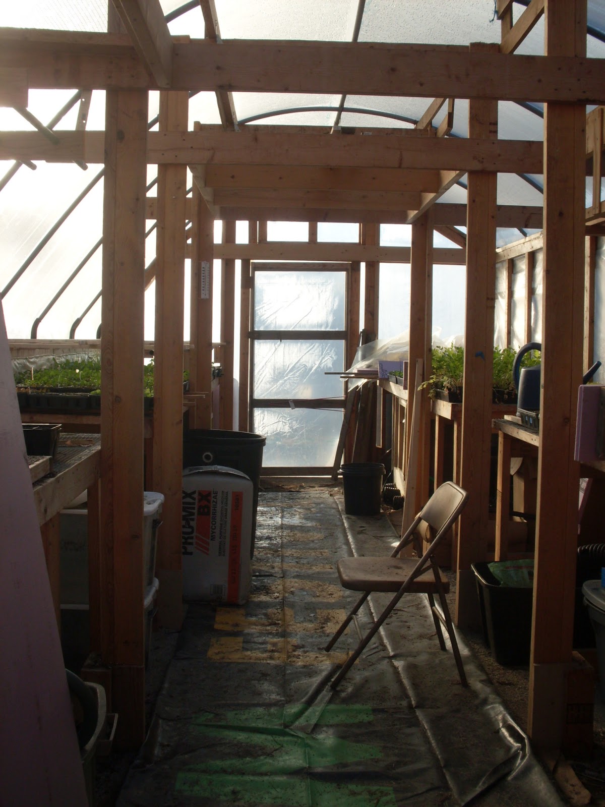 Three Sisters Garden Tricycle Gardens Headquarters