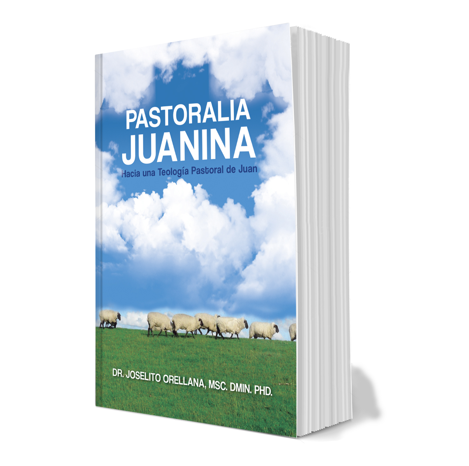 Mi nuevo libro: PASTORALIA JUANINA, Hacia un Teología Pastoral de Juan, 355pp