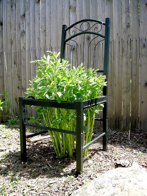 17 Exceptional DIY Trellis Ideas For You Garden | Do it ... 17 Exceptional DIY Trellis Ideas For You Garden Do it