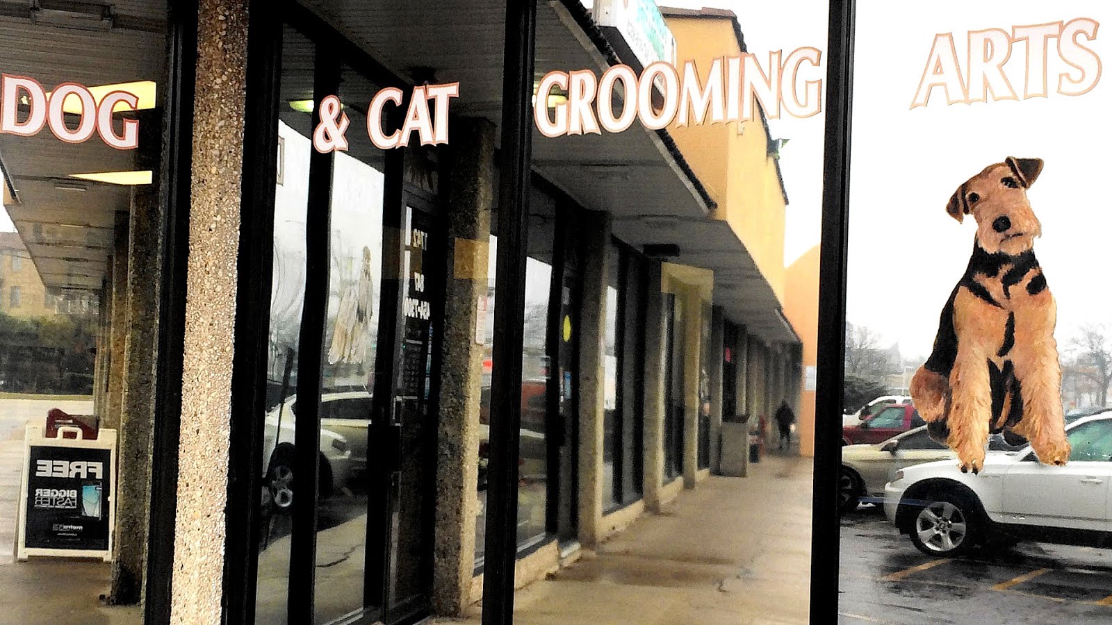 Academy Of Dog Grooming Arts Dog Choices