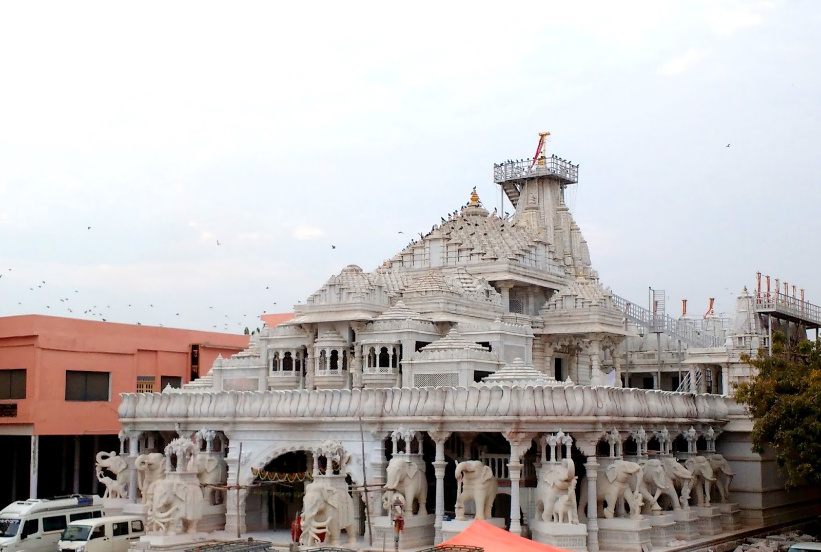The Disputed Devotion Kesariyaji Tirth