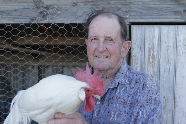 Pecking Order: Film Review