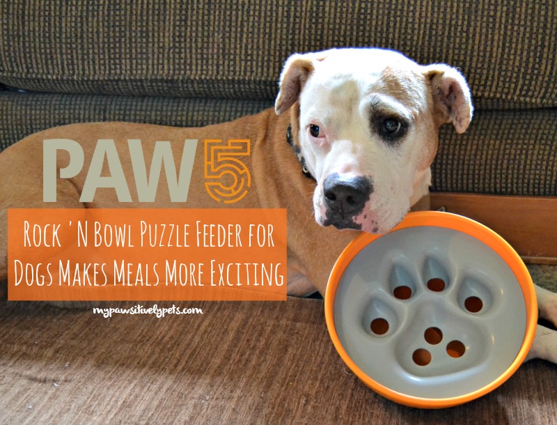PAW5 Rock N' Bowl Puzzle Feeder Slow Feeding Dog Bowl 
