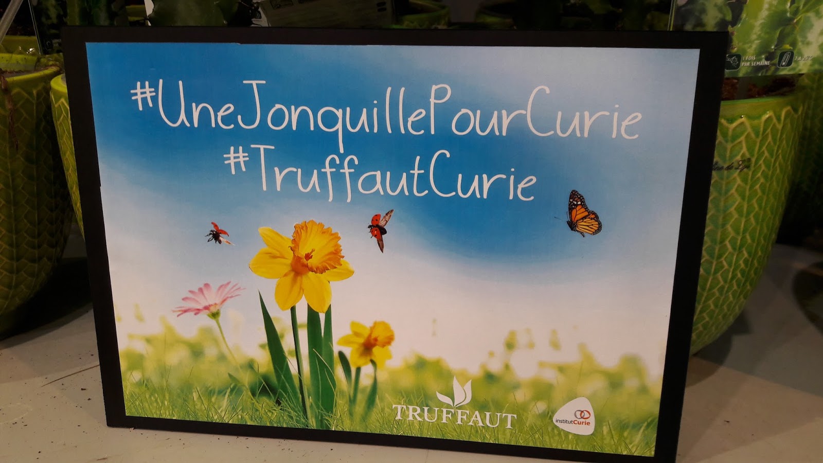 Ces doux moments: Une jonquille pour Curie revient dans les magasins  Truffaut